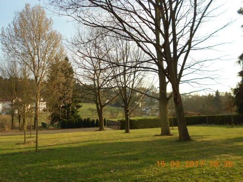 urnengrab baum